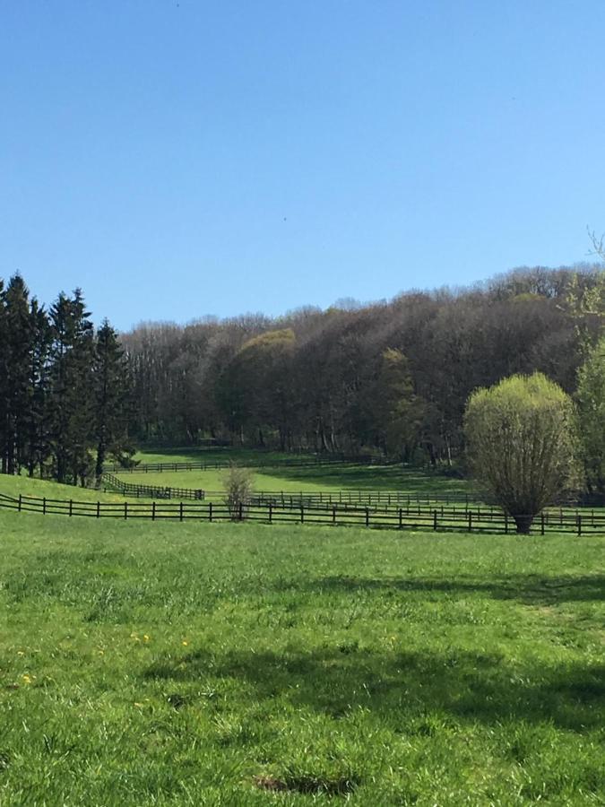 Ferienwohnung Ravelblick Roetgen Zewnętrze zdjęcie